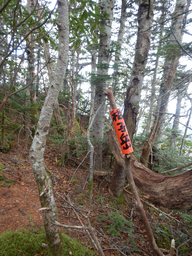 可愛い稲子岳の標識